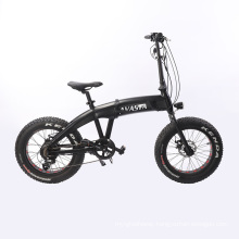 20′ ′ Fat Tire External 7 Speeds Electric Folding Bike 36V 250W